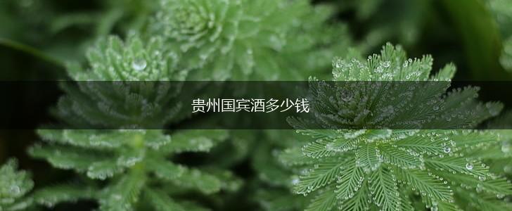 贵州国宾酒多少钱,第1张