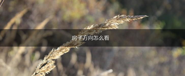 房子方向怎么看,第1张