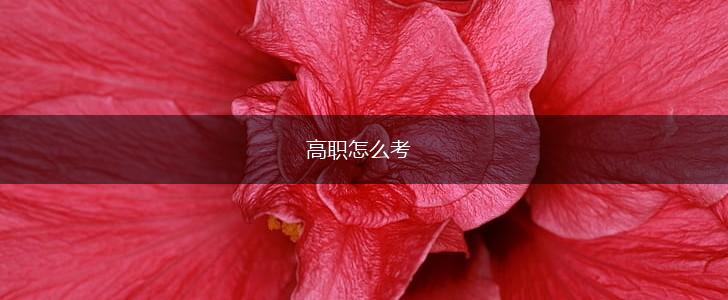 高职怎么考,第1张