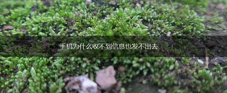 手机为什么收不到信息也发不出去,第1张