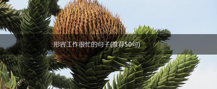 形容工作很忙的句子(推荐50句),第1张