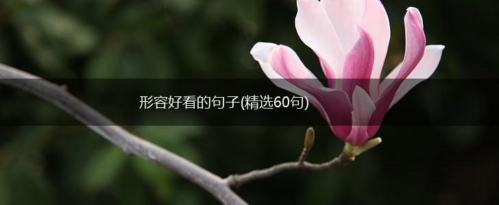 形容好看的句子(精选60句),第1张