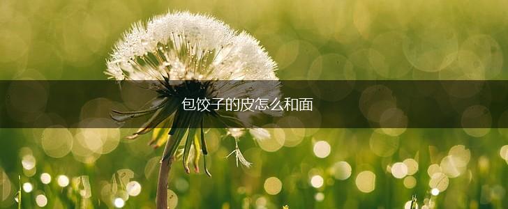 包饺子的皮怎么和面,第1张