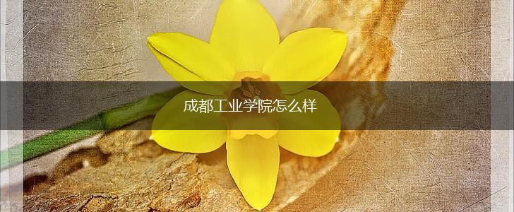 成都工业学院怎么样,第1张