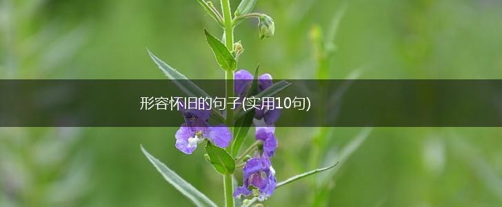 形容怀旧的句子(实用10句),第1张