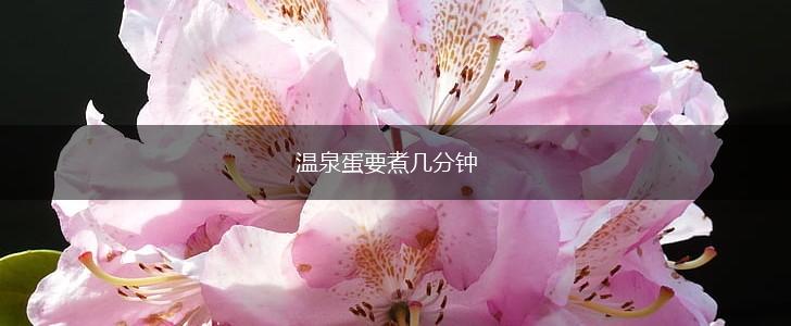 温泉蛋要煮几分钟,第1张