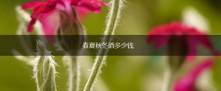 春夏秋冬酒多少钱,第1张