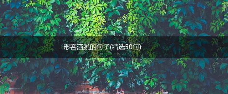 形容洒脱的句子(精选50句),第1张