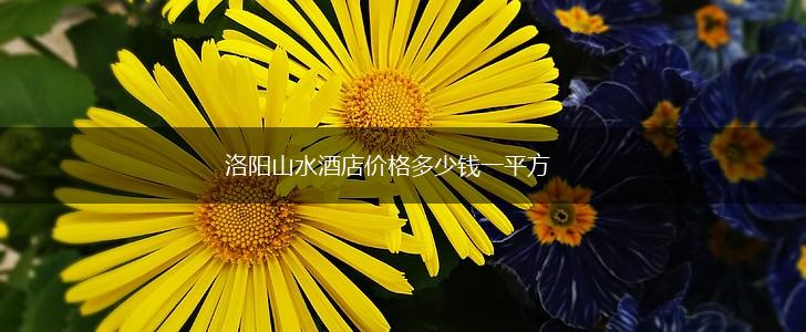 洛阳山水酒店价格多少钱一平方,第1张