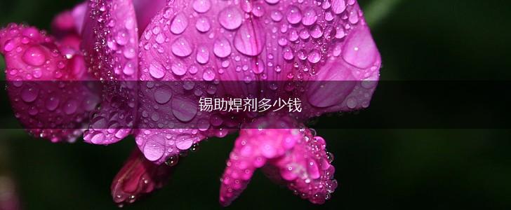 锡助焊剂多少钱,第1张