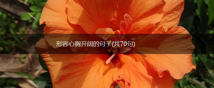 形容心胸开阔的句子(共70句),第1张
