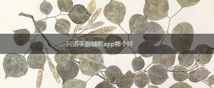 问道手游辅助app哪个好,第1张