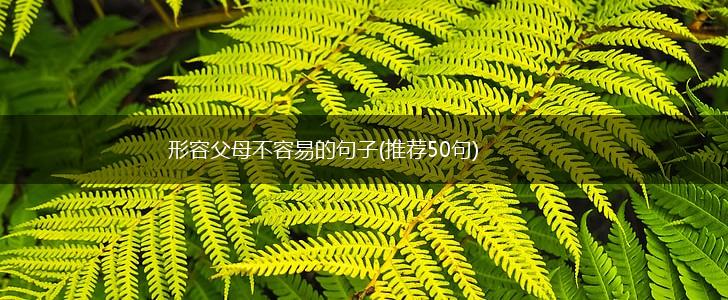 形容父母不容易的句子(推荐50句),第1张