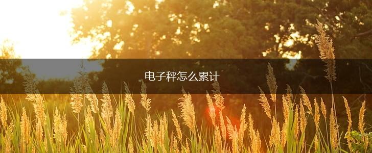 电子秤怎么累计,第1张