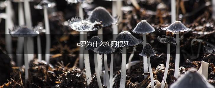 c罗为什么在阿根廷,第1张