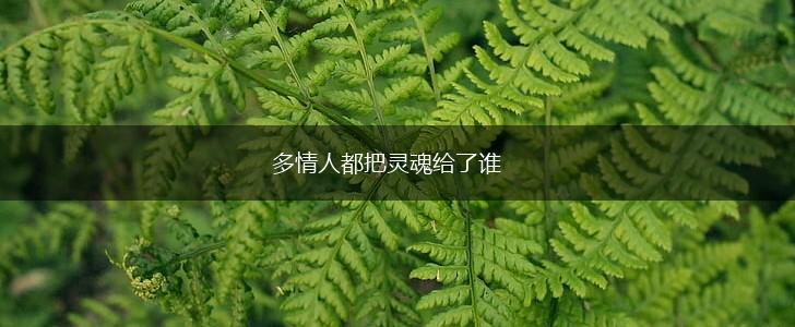 多情人都把灵魂给了谁,第1张