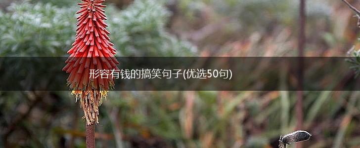 形容有钱的搞笑句子(优选50句),第1张