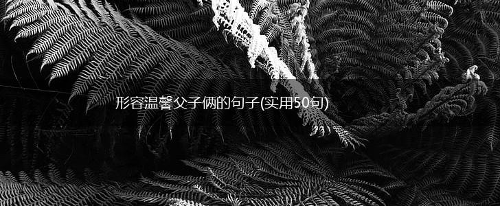形容温馨父子俩的句子(实用50句),第1张