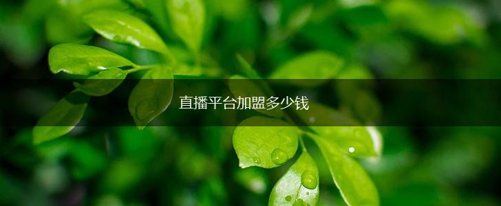 直播平台加盟多少钱,第1张