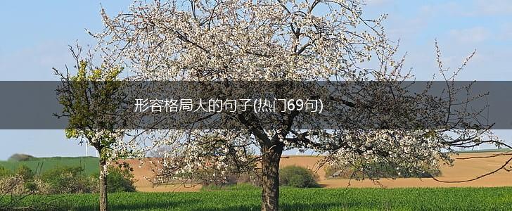 形容格局大的句子(热门69句),第1张
