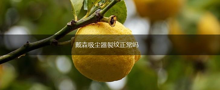 戴森吸尘器裂纹正常吗,第1张