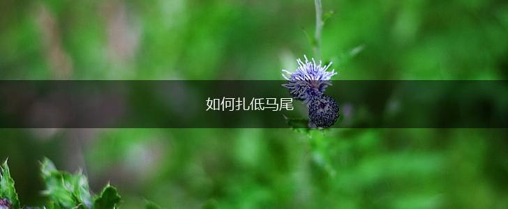 如何扎低马尾,第1张