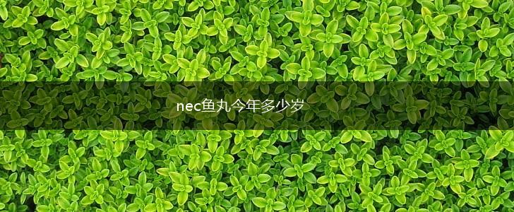 nec鱼丸今年多少岁,第1张