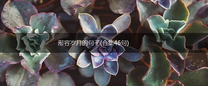形容岁月的句子(合集46句),第1张