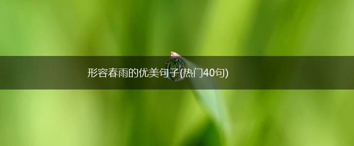 形容春雨的优美句子(热门40句),第1张