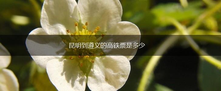 昆明到遵义的高铁票是多少,第1张