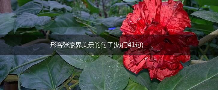 形容张家界美景的句子(热门41句),第1张