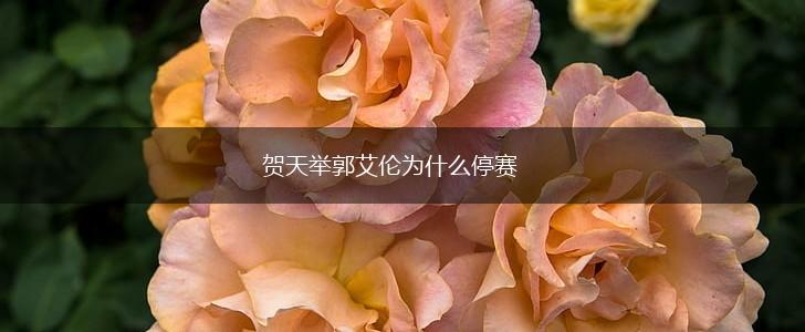 贺天举郭艾伦为什么停赛,第1张