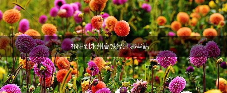 祁阳到永州高铁经过哪些站,第1张