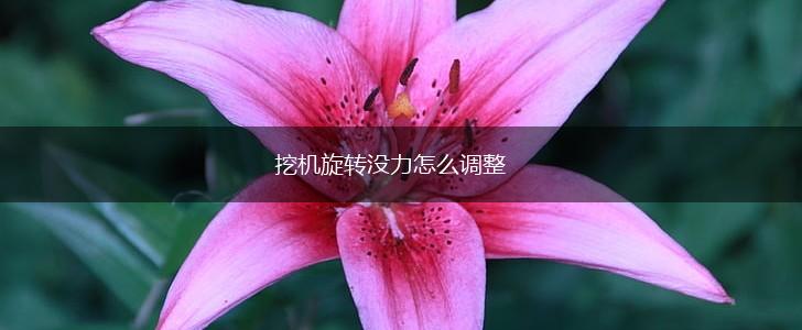 挖机旋转没力怎么调整,第1张
