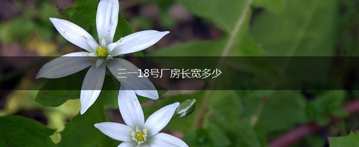 三一18号厂房长宽多少,第1张