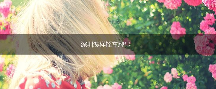 深圳怎样摇车牌号,第1张