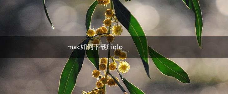 mac如何下载fliqlo,第1张