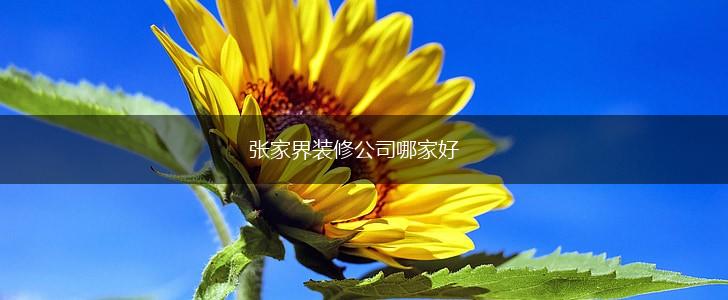张家界装修公司哪家好,第1张