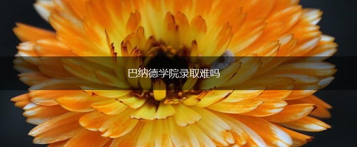 巴纳德学院录取难吗,第1张