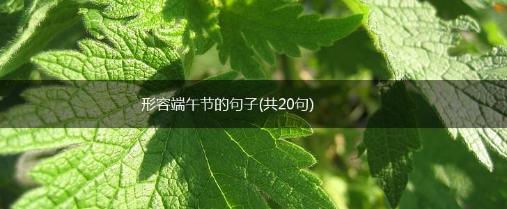 形容端午节的句子(共20句),第1张