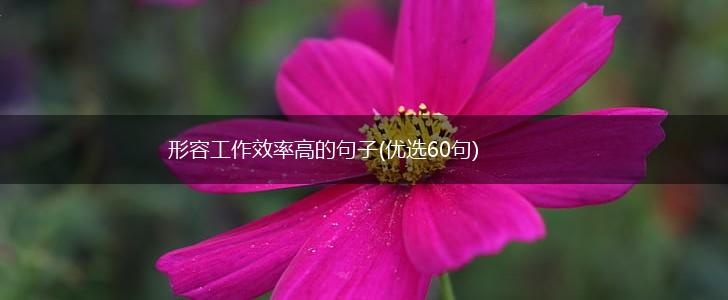 形容工作效率高的句子(优选60句),第1张