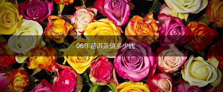 06年普洱茶值多少钱,第1张