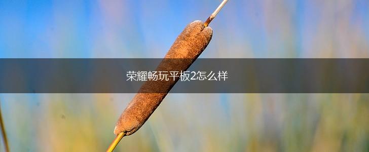荣耀畅玩平板2怎么样,第1张