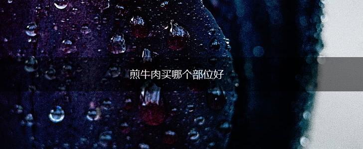 煎牛肉买哪个部位好,第1张