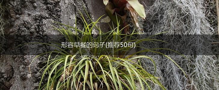 形容早餐的句子(推荐50句),第1张