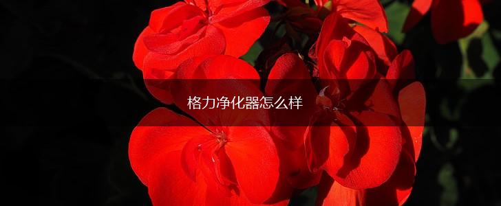 格力净化器怎么样,第1张