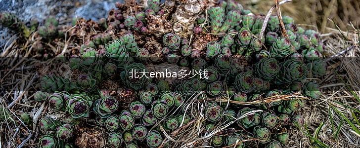 北大emba多少钱,第1张