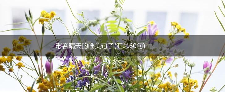 形容晴天的唯美句子(汇总60句),第1张