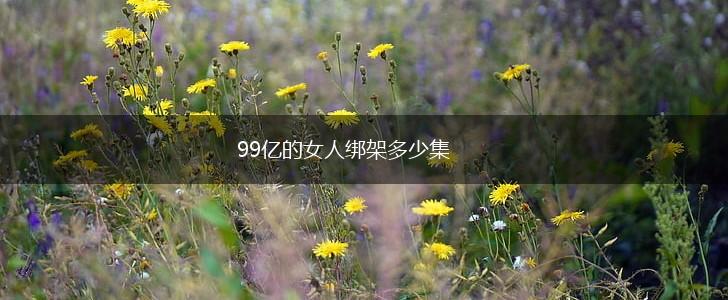 99亿的女人绑架多少集,第1张