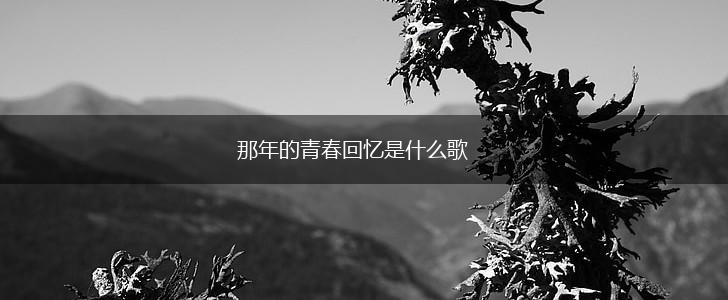 那年的青春回忆是什么歌,第1张